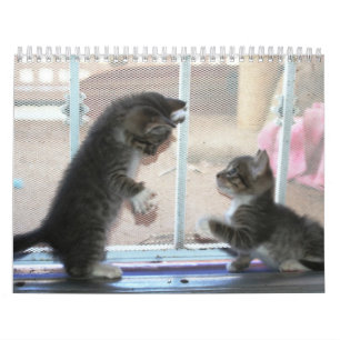 Een jaar spuitbussen kalender