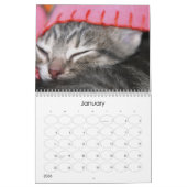 Een jaar spuitbussen kalender (Jan 2026)