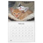 Een jaar spuitbussen kalender (Feb 2026)