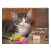 Een jaar van belachelijkheid kalender (Hoes)