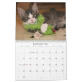 Een jaar van belachelijkheid kalender (Feb 2027)