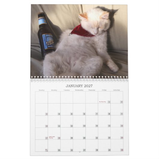 Een jaar van belachelijkheid kalender (Jan 2027)