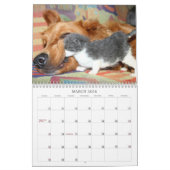 Een jaar van belachelijkheid kalender (Mar 2026)