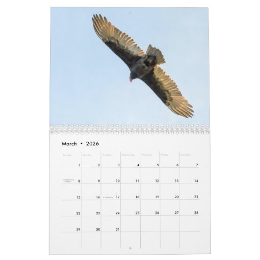 Een jaar van gieren kalender (Mar 2026)