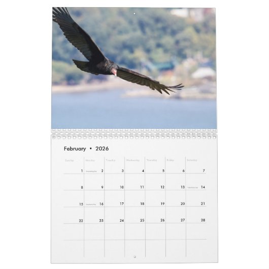 Een jaar van gieren kalender (Feb 2026)