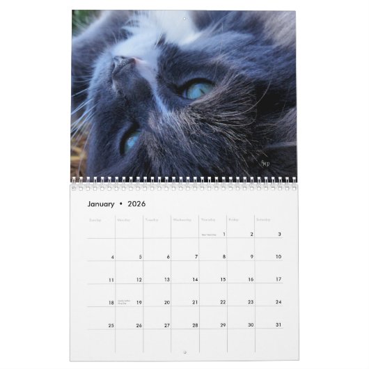Een jaar van Katten - pas aan om het even welk jaa Kalender (Jan 2026)