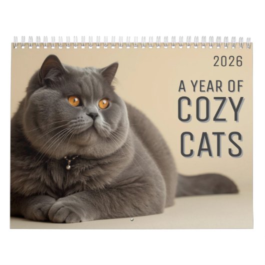 Een Jaar van Knusse Katten Kalender (Hoes)