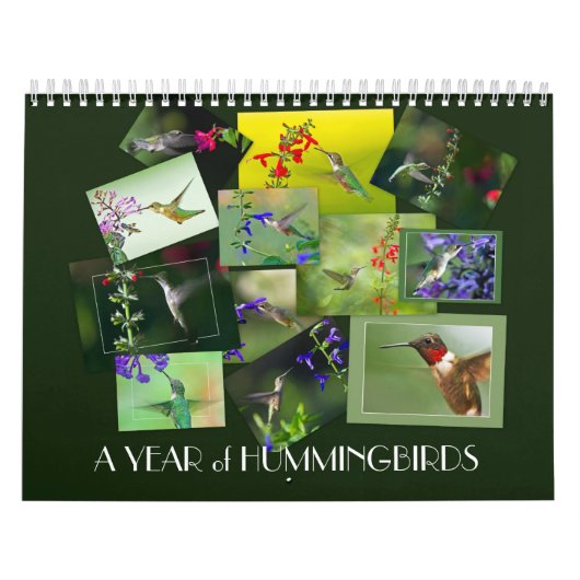 Een jaar van kolibries kalender (Hoes)