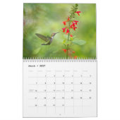 Een jaar van kolibries kalender (Mar 2027)