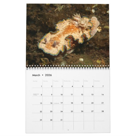 Een jaar van naaktslagaders kalender (Mar 2026)