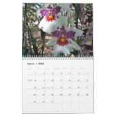 Een jaar van Orchids 2014 Orchid Calendar Foto's Kalender (Mar 2026)