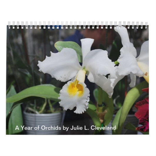 Een jaar van Orchids 2014 Orchid Calendar Foto's Kalender (Hoes)