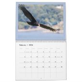 Een jaar van Vultures Zwart en Turkije Kalender (Feb 2026)