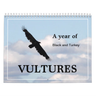 Een jaar van Vultures Zwart en Turkije Kalender