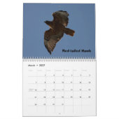 Een jaar verkrachters kalender (Mar 2027)