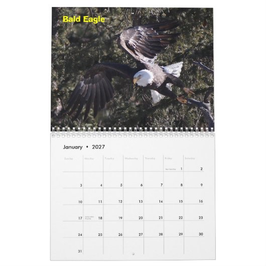 Een jaar verkrachters kalender (Jan 2027)