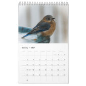 Een jaar vol blauwvintonijn kalender (Jan 2027)