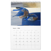 Een jaar vol blauwvintonijn kalender (Mar 2026)