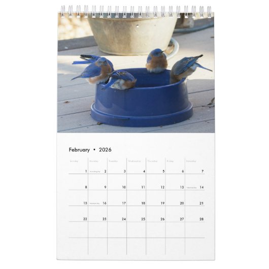 Een jaar vol blauwvintonijn kalender (Feb 2026)