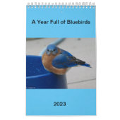 Een jaar vol blauwvintonijn kalender (Hoes)
