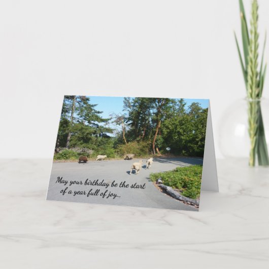 Een jaar vol vreugde...religieuze verjaardag kaart (Voorkant)