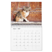 Een jaar waard van Cute Kitten-fotografie Kalender (Mar 2027)