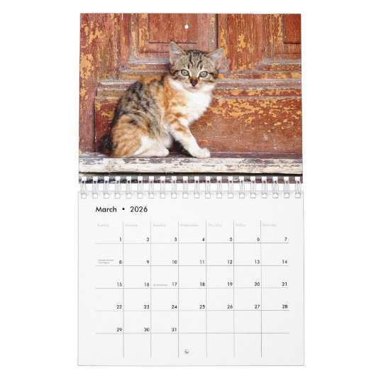 Een jaar waard van Cute Kitten-fotografie Kalender (Mar 2026)