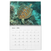 Een jaar Zee draaistellen kalender (Mar 2026)