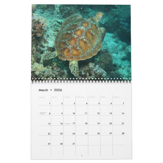 Een jaar Zee draaistellen kalender (Mar 2026)