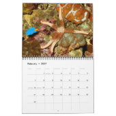 Een jaar Zee sterrenkalender Kalender (Feb 2027)