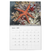 Een jaar Zee sterrenkalender Kalender (Mar 2027)