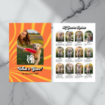 "Een jaaroverzicht" Retro fotocollage voor hondenl
