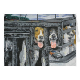 "Een jacht die we gaan maken"