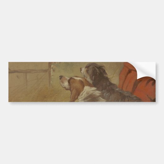 Een jachthond en een Bearded Collie (Twee honden) Bumpersticker (Voorkant)