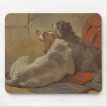 Een jachthond en een Bearded Collie (Twee honden) 