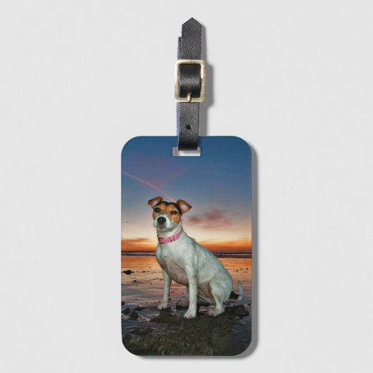Een Jack Russell-meetband | Brighton Beach Bagagelabel (Voorkant (verticaal))