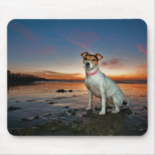 Een Jack Russell-meetband Brighton Beach Muismat