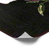 Een Japanse Magnolia Poster (Hoek)