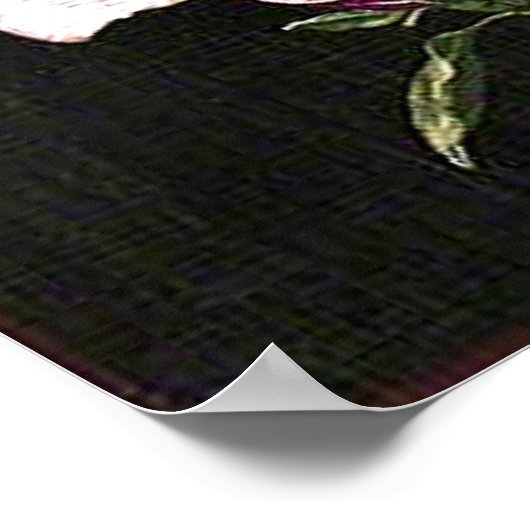 Een Japanse Magnolia Poster (Hoek)