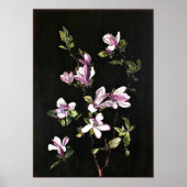 Een Japanse Magnolia Poster (Voorkant)