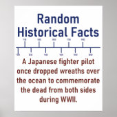 Een Japanse vechtpiloot - Geschiedenis Poster (Voorkant)