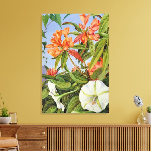 Een Javaanse Rododendron en Ipomoea Canvas Afdruk (Insitu (Woonkamer))