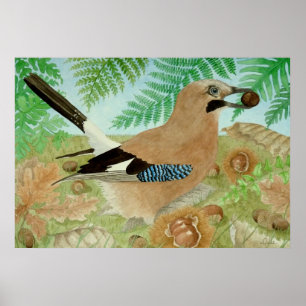 Een Jay in de herfst Poster