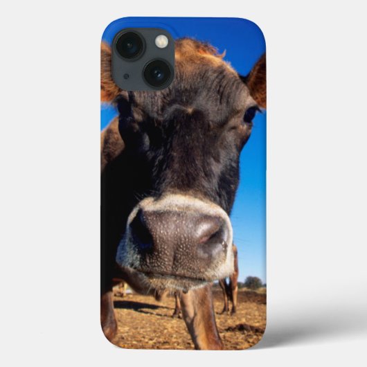 Een Jersey-koe die nieuwsgierig is Case-Mate iPhone Case (Achterkant)