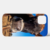 Een Jersey-koe die nieuwsgierig is Case-Mate iPhone Case (Achterkant (horizontaal))