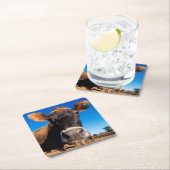 Een Jersey-koe die nieuwsgierig is Kartonnen Onderzetters (Insitu)