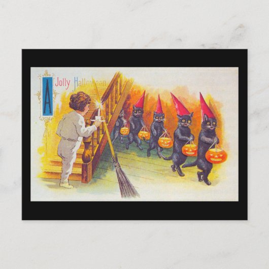 Een Jolly Halloween Black Cats met pompoenen  Briefkaart (Voorkant)