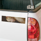 Een jong blademeisje (door Jan Lievens) Bumpersticker (Op Truck)