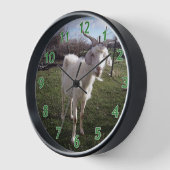 Eén jonge geit (Hoek)