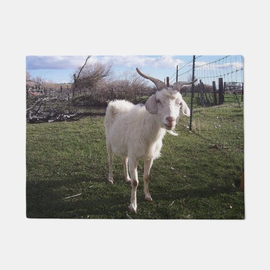 Eén jonge geit deurmat (Voorkant)